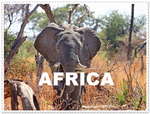 AFRICA