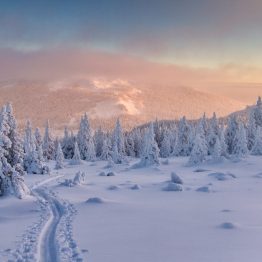 Exclusivitate în Alpii Francezi