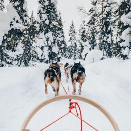 Experiențe montane veritabile